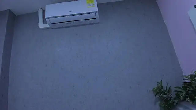 Tiffany mendez online show from 12-03-25, 12:04