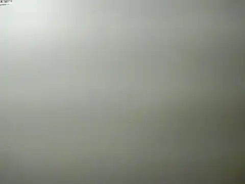 lilbishmiss online show from 01-29-25, 01:58