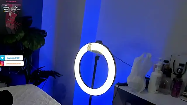 Antonellasmith00 online show from 01-13-26, 01:15