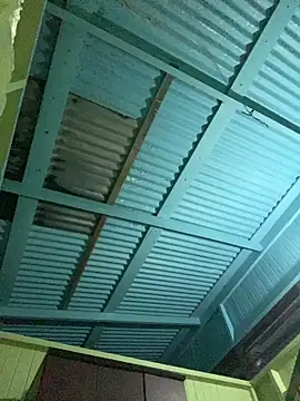 islandvybee55 online show from 01-11-26, 09:16