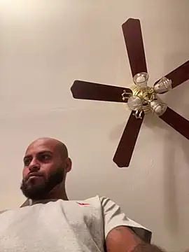 islandvybee55 online show from 03-02-26, 06:14