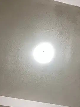 islandvybee55 online show from 01-22-25, 01:10