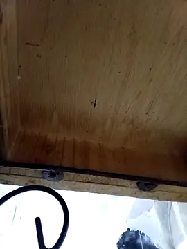 DaniSexFlow online show from 10-13-25, 04:36