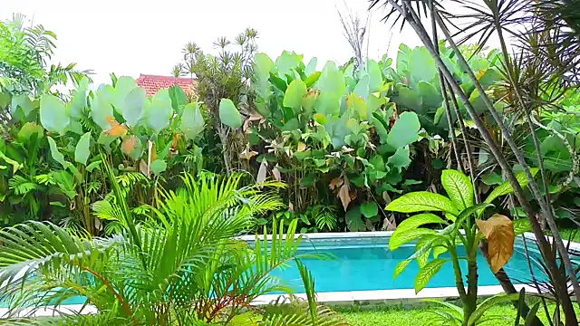  Katie Dierse online show from 02-09-26, 05:38