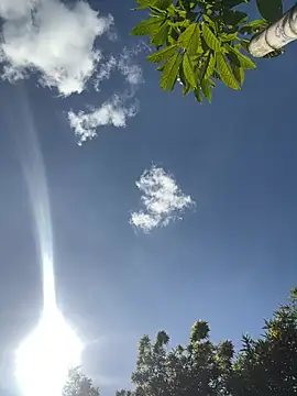 VioletaSubmissive online show from 03-19-26, 08:31