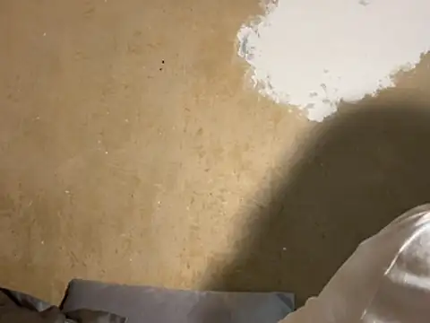 saint cat25 online show from 02-18-26, 09:22