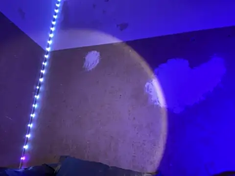 saint cat25 online show from 03-27-26, 10:43