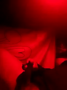 Snapshot of rayhot69 chatting on 12-23-24, 03:50 rayhot69 online show from 12-23-24, 03:50