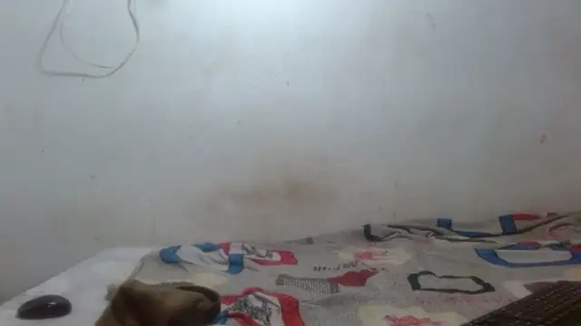 damian bottom bigcock online show from 02-16-26, 08:40