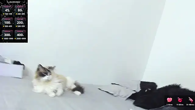 Snapshot of SophieBaker__ chatting on 02-03-26, 02:10 SophieBaker online show from 02-03-26, 02:10