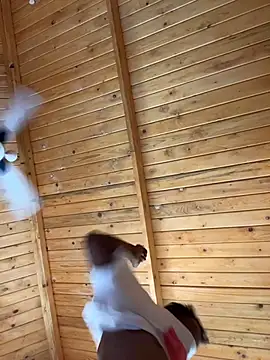 bigfatdick111 online show from 03-17-26, 06:27