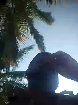 Snapshot of bulunchu chatting on 12-19-24, 04:02 bulunchu online show from 12-19-24, 04:02