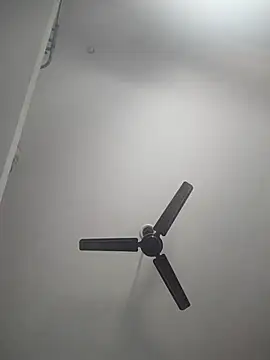 Snapshot of bulunchu chatting on 03-08-25, 05:59 bulunchu online show from 03-08-25, 05:59