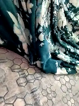 Snapshot of bulunchu chatting on 11-02-25, 03:50 bulunchu online show from 11-02-25, 03:50