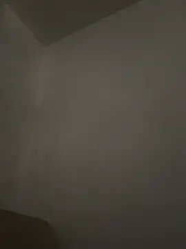 honeybrow online show from 03-02-25, 09:52