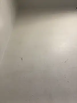 honeybrow online show from 01-08-25, 09:55