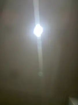 pawmistry online show from 03-05-26, 03:58