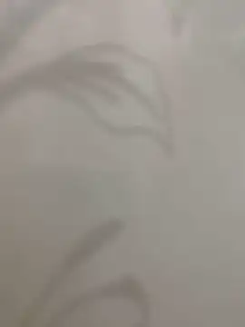 Sheik z o online show from 11-16-25, 05:50