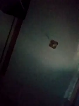 BriannaVincent online show from 03-20-26, 04:35