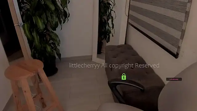 Snapshot of _littlecherryy_ chatting on 05-21-26, 03:48 littlecherryy online show from 05-21-26, 03:48
