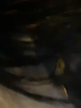 Snapshot of sophie_conor chatting on 01-29-25, 10:32 sophie conor online show from 01-29-25, 10:32