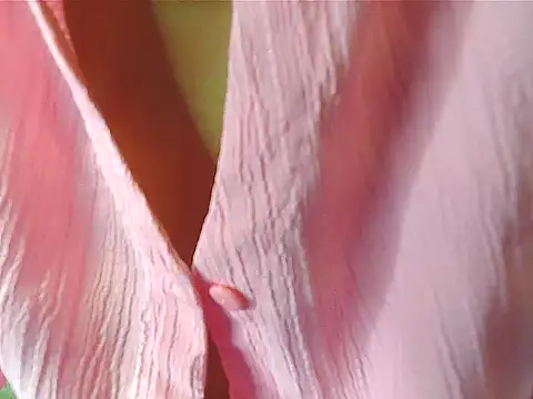 Snapshot of your_Shanvi chatting on 10-04-25, 07:59 your Shanvi online show from 10-04-25, 07:59