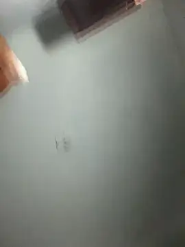 Snapshot of doll_celeste20 chatting on 09-26-25, 09:54 doll celeste20 online show from 09-26-25, 09:54