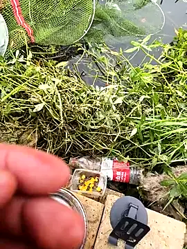 huzi518 online show from 10-25-25, 03:38