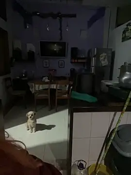 SophiaWeestt99 online show from 10-01-25, 01:44