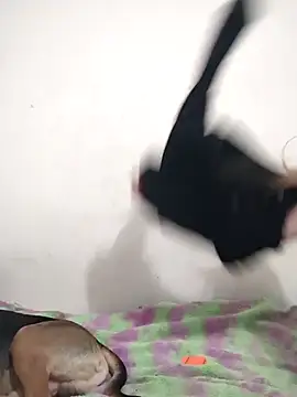 ElektrikFrancaise online show from 01-08-26, 07:36