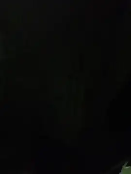 Snapshot of ALEX-BHASHI chatting on 10-14-25, 01:28 ALEX-BHASHI online show from 10-14-25, 01:28