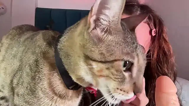 alice guerin  online show from 02-20-26, 06:19