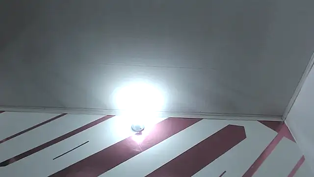 Kitten Hot  online show from 12-18-25, 10:30