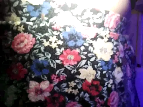 Rosaselvagem online show from 12-25-24, 02:25