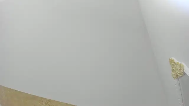 PandoraRider online show from 03-31-26, 12:51