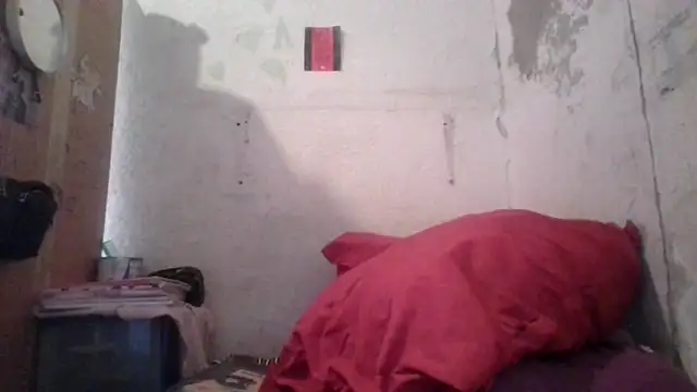 Polygamist online show from 04-22-26, 10:00