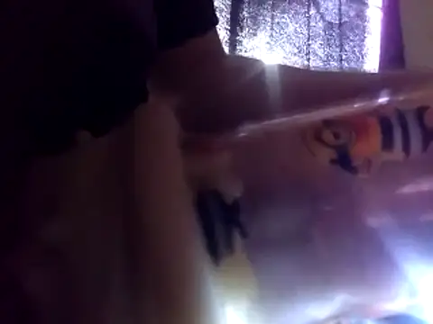 6MataGarcia online show from 01-04-25, 10:34