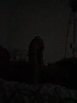 Johnras121 online show from 04-11-26, 12:40