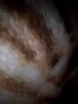 Snapshot of YuliannaFox chatting on 02-04-25, 09:52 YuliannaFox online show from 02-04-25, 09:52