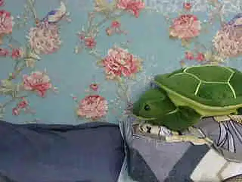 Tiny lusty online show from 03-16-25, 08:21