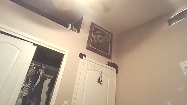 PompasPurpleriver online show from 04-22-26, 02:40