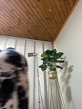 Snapshot of Milff_parkerrr chatting on 03-07-25, 08:55 Milff parkerrr online show from 03-07-25, 08:55