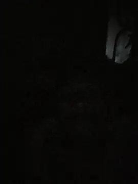 arppyyyxx online show from 01-11-26, 11:00