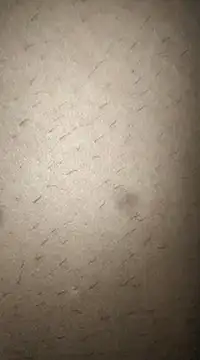 rohitlov150 online show from 03-11-25, 12:50