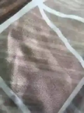 rohitlov150 online show from 03-16-26, 10:19