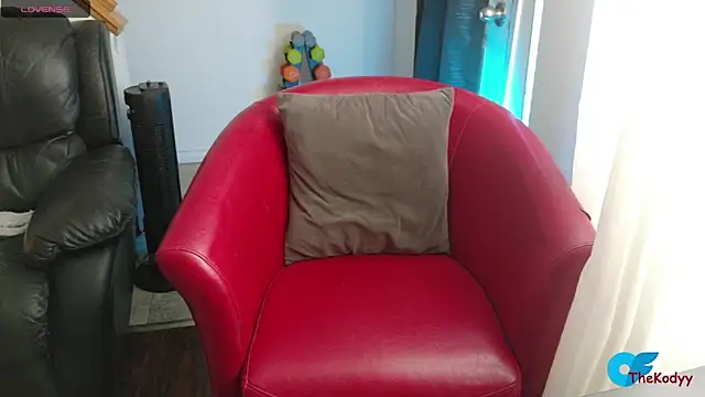 Thekodyy online show from 02-04-26, 04:24