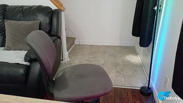 Snapshot of Thekodyy chatting on 04-18-26, 11:45 Thekodyy online show from 04-18-26, 11:45
