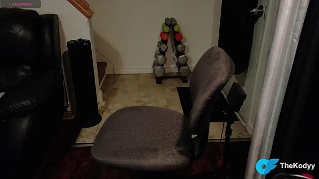 Thekodyy online show from 01-17-26, 08:07