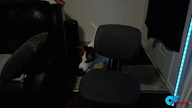 Thekodyy online show from 02-11-26, 06:13