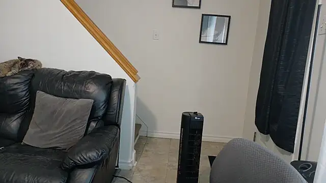 Thekodyy online show from 11-14-25, 01:48